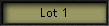 Lot 1